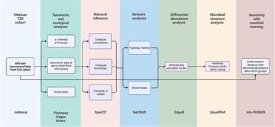 A network perspective on the ecology of gut microbiota and progression of type 2 diabetes: Linkages to keystone taxa in a Mexican cohort